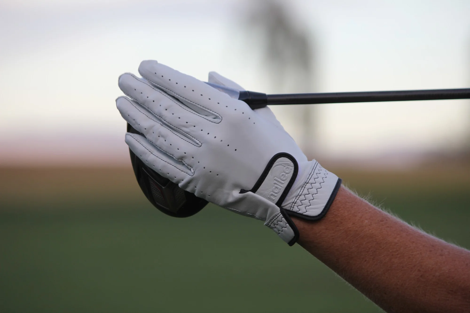 Leather Golf Glove